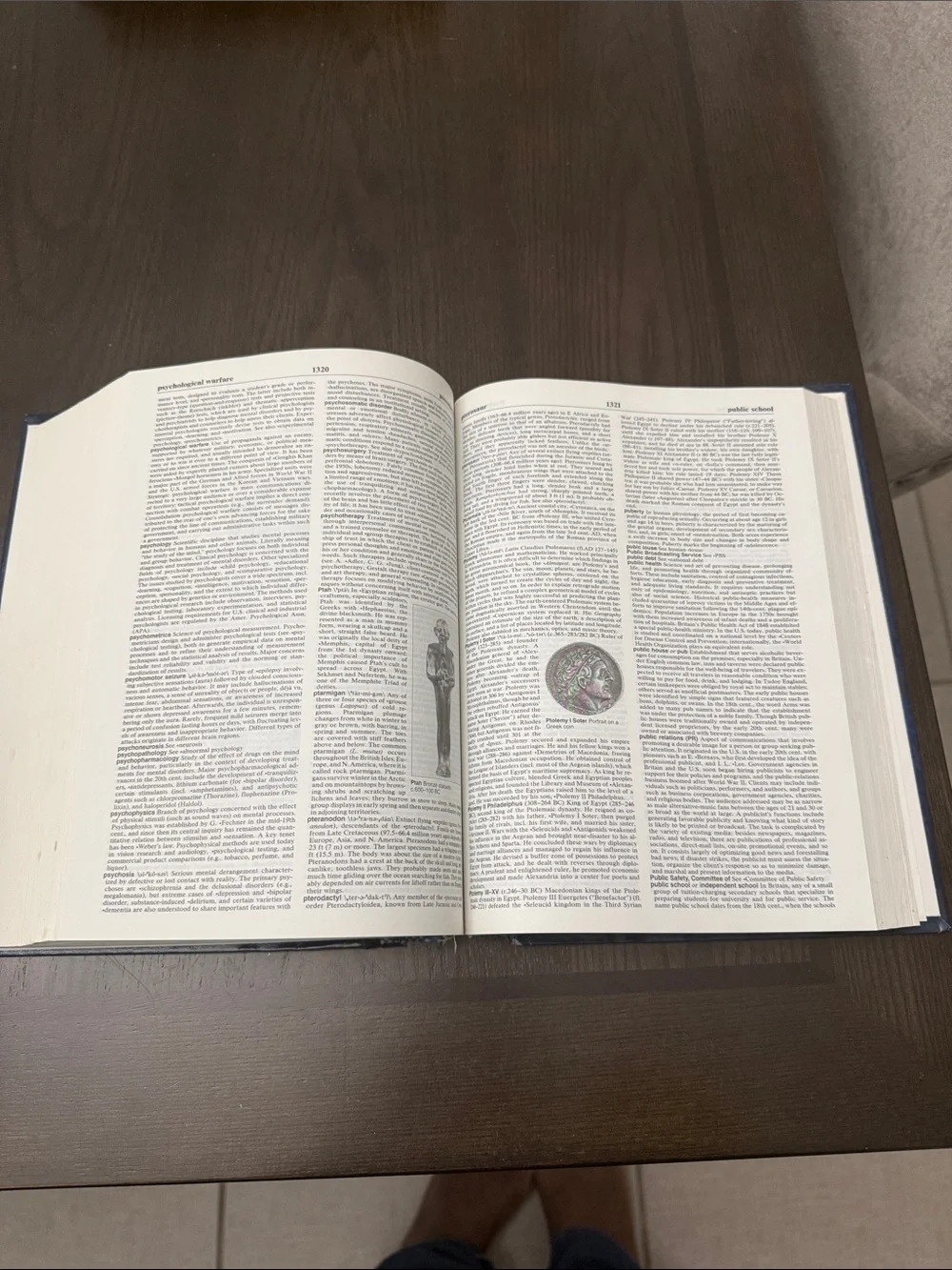 Collegiate Encyclopedia Hardcover in Blue